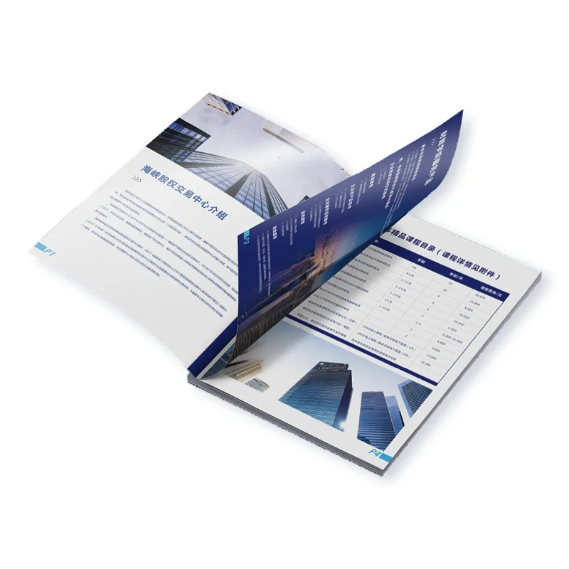 Promotional Factory Customized Printing Brochure Leaflet Booklet Flyer Pamphlet