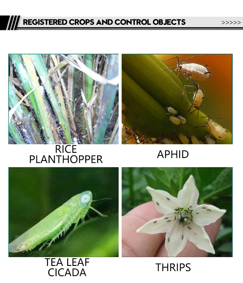 80% Pymetrozine WG agricultural pesticide Nitenpyram