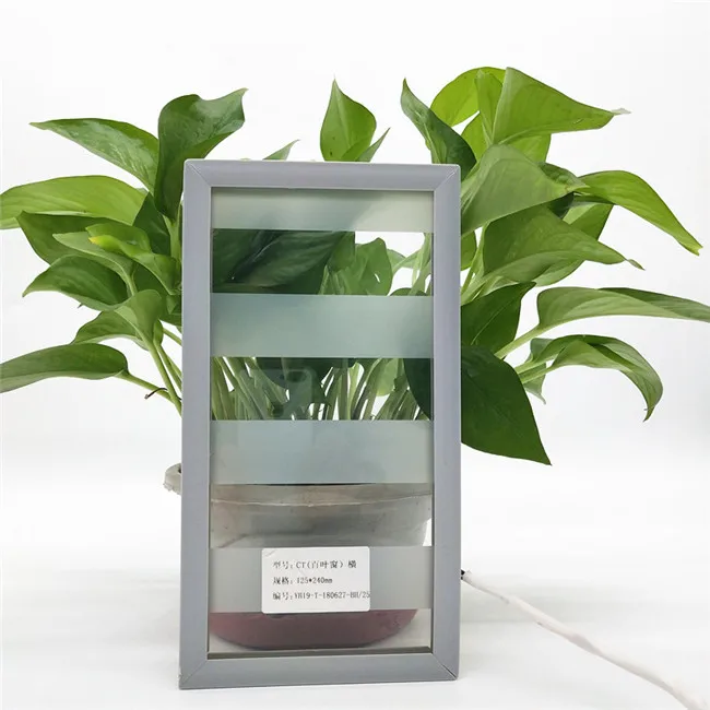 Dynamic Electronic Intelligent Dimming Glass