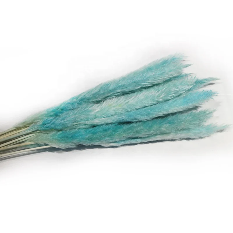 wholesale factory price of dried mini pampas grass on sale