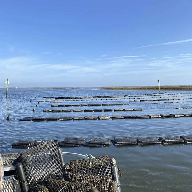 Высокое качество HDPE устричная клетка