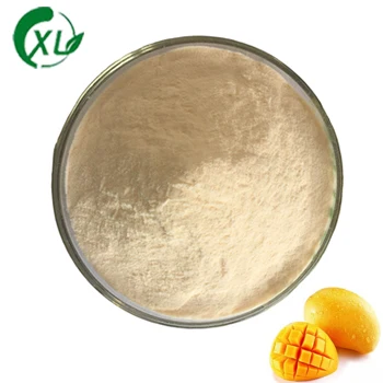 Natural Organic Best Quality Mango Fruit Powder 99% Mango Juice Powder Mango Extract