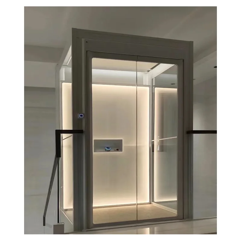 Durable Elevators for Person with Automatic Door for Modern Homes residential lift