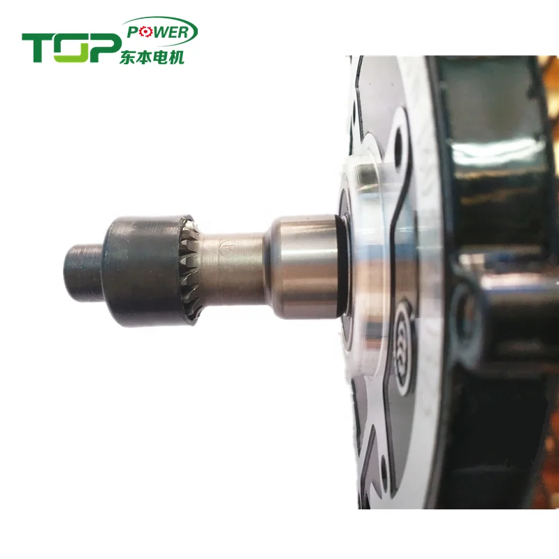 Cargo Electric Tricycle 1000W 60 Volt Brushless DC Motor For Adult