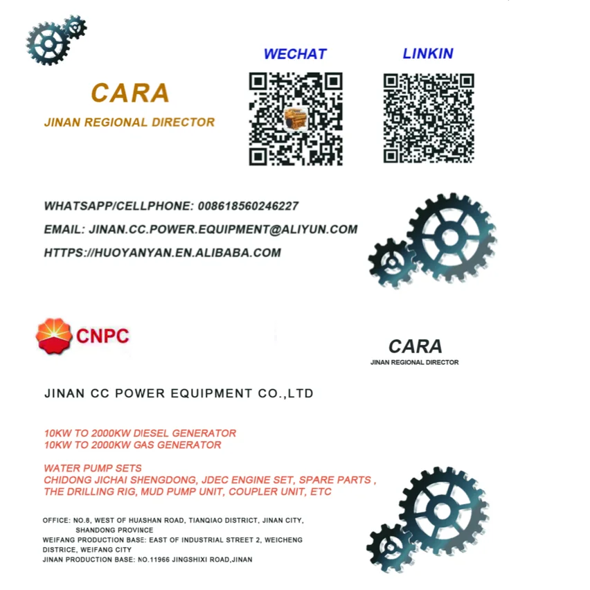 Высококачественный генератор биогаза Chidong JDEC JICHAI от 15 до 4000