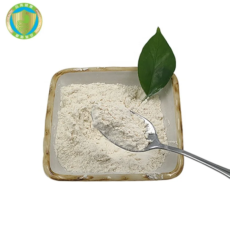 GMP Factory OEM lactobacillus casei Probiotics powder