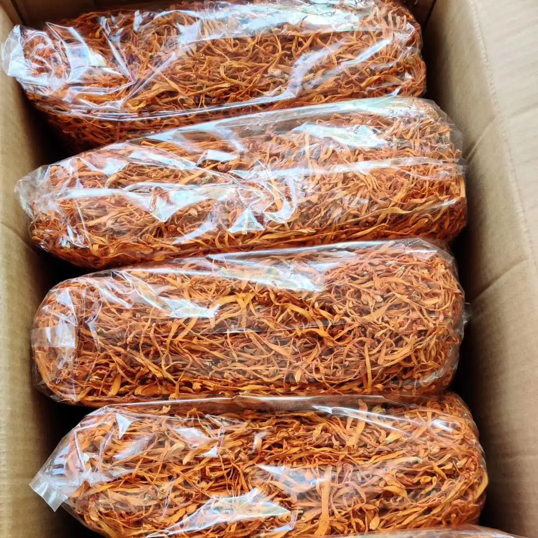 Dried Fungus Cordyceps Militaris For Sales