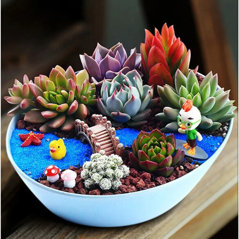 colorful decorative flower pots korean succulent combination flower pots