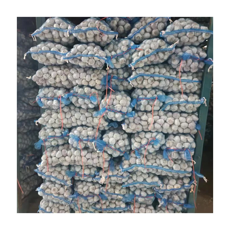 China Fresh Garlic Price Wholesale Price in Shandong Onion Garlic Seeds for Sale Normal White Imported Garlic Fresh