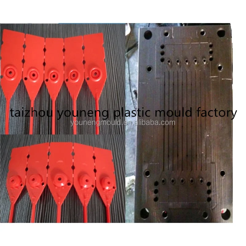MOULD (10).jpg