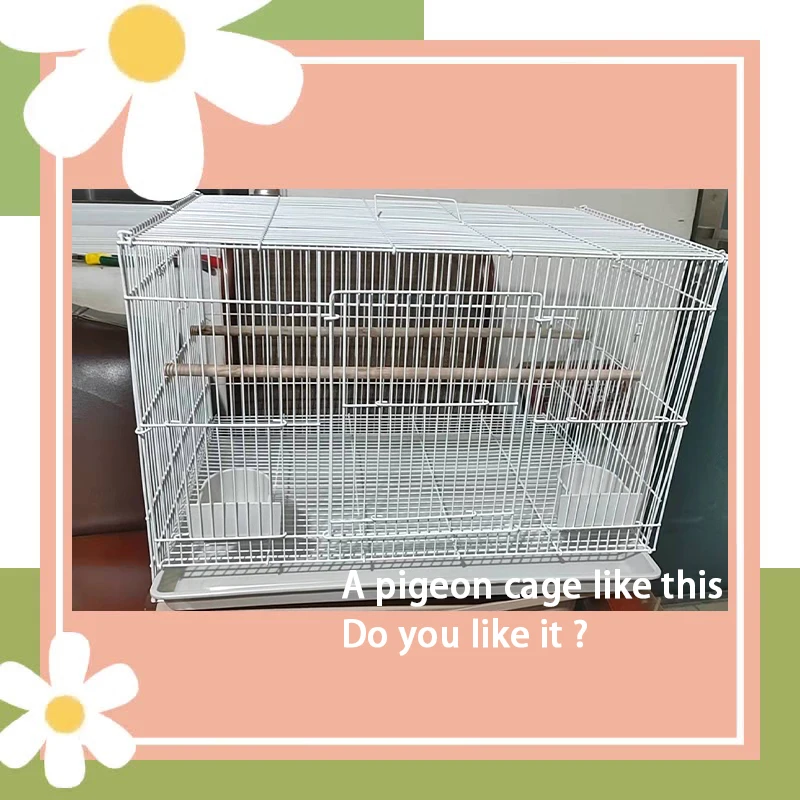 Wholesale quail parrot bird cage with feeder metal pet cage bird iron cage