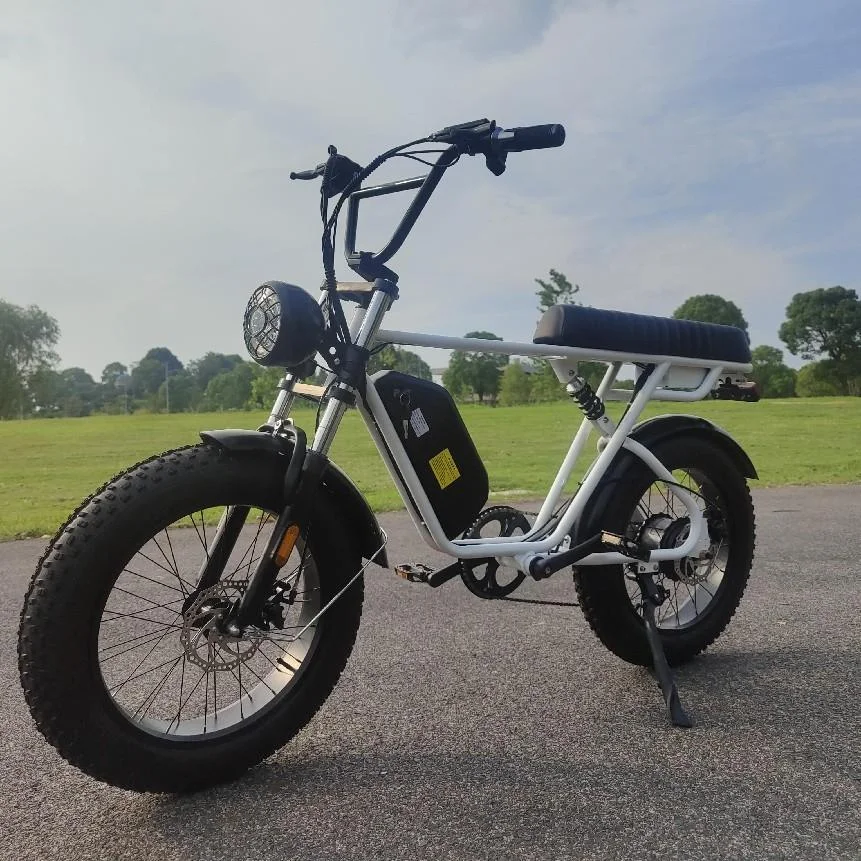 Host Sell 5000w 72v Fat Tire Snow Ebike City Bike   20 Inch  Ebike