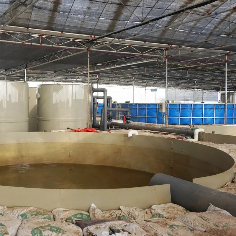 RAS system aquaculture shrimp farming tank fish farming fatchery equipment for sals whiteleg shrimp case