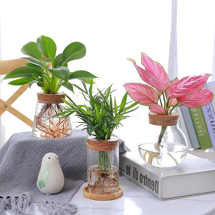 Plant Propagation Station Micro Landscape Terrarium Flower Vase Clear Ribbed Glass Home Garden Office Handmade Christmas Modern