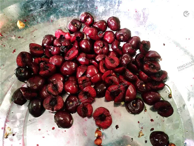 CL-I Apricot Coring Machine Stoner Litchi Prune Plum