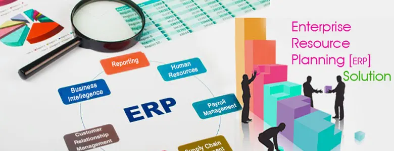 Custom Designed ERP Solutions and Software Development Accounting Software System Names with online Service