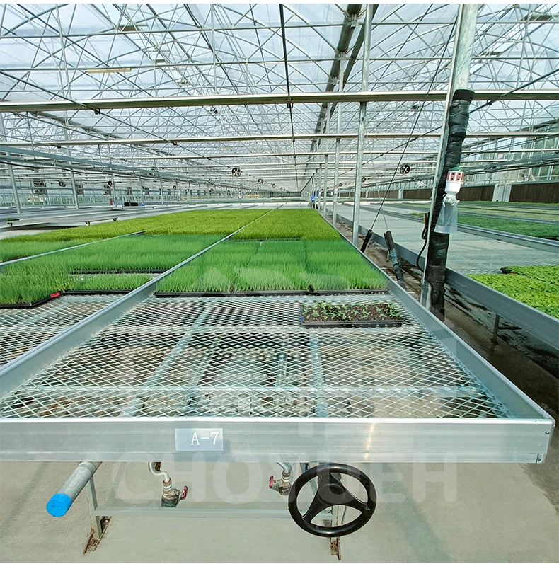 CHOYUEH A innovative solution for enhanced seedling production peanut seedlings the efficient rolling seedbed greenhouse seedbed