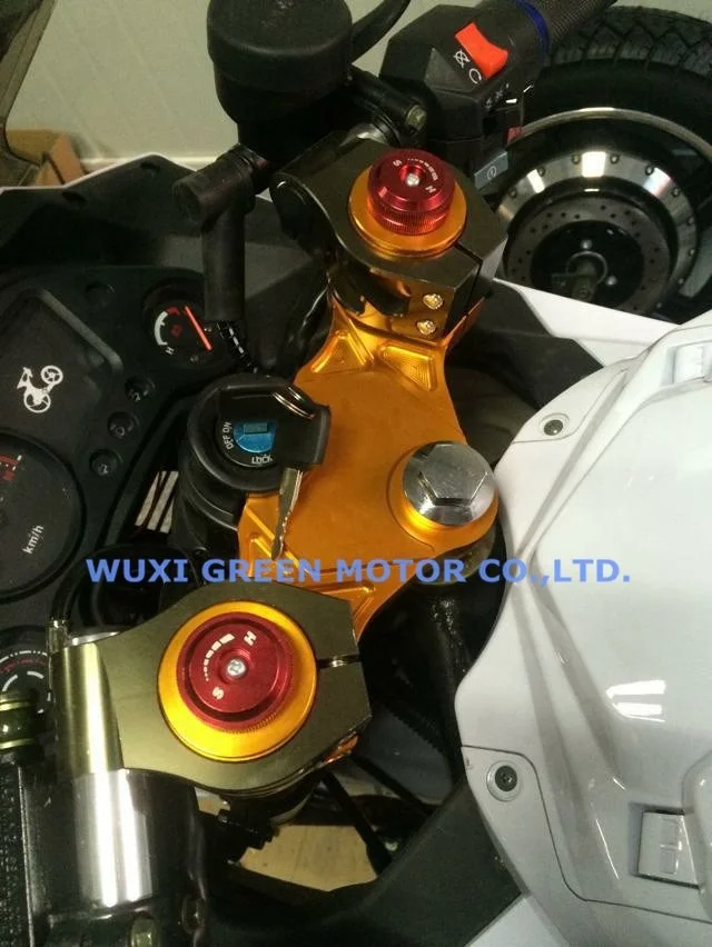 adult electric bike kawasaki electric motorcycle 5000w