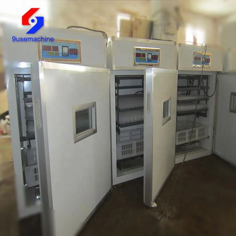 Durable incubator for egg hatching bird egg incubator temperature humidity controller egg incubator for sale