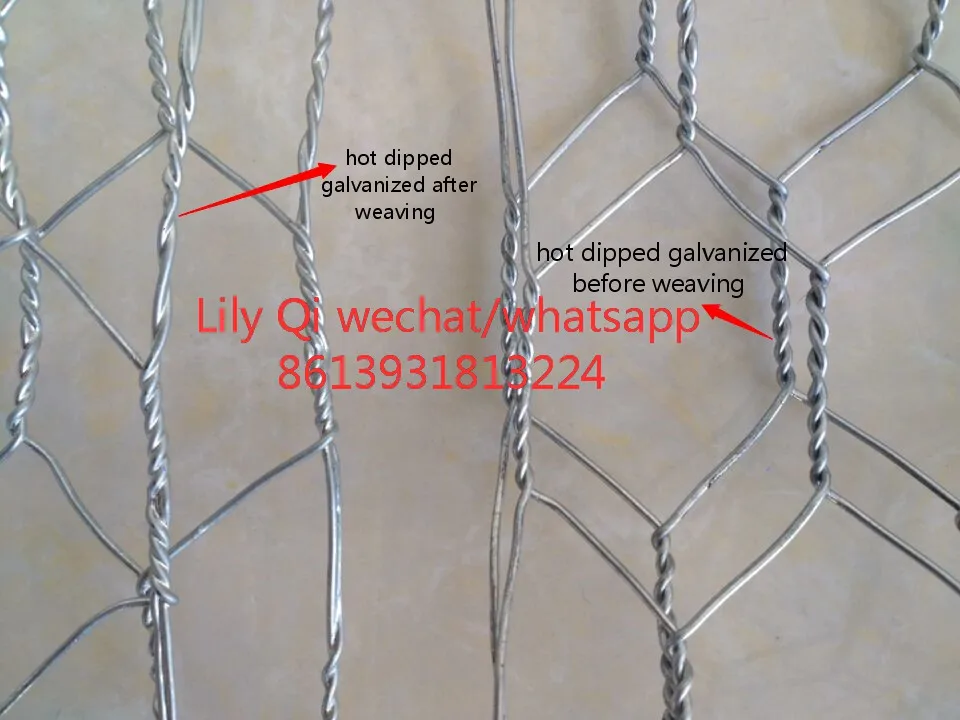 hexagonal chicken wire mesh/Galvanized Stucco Wire Netting 20 gauge