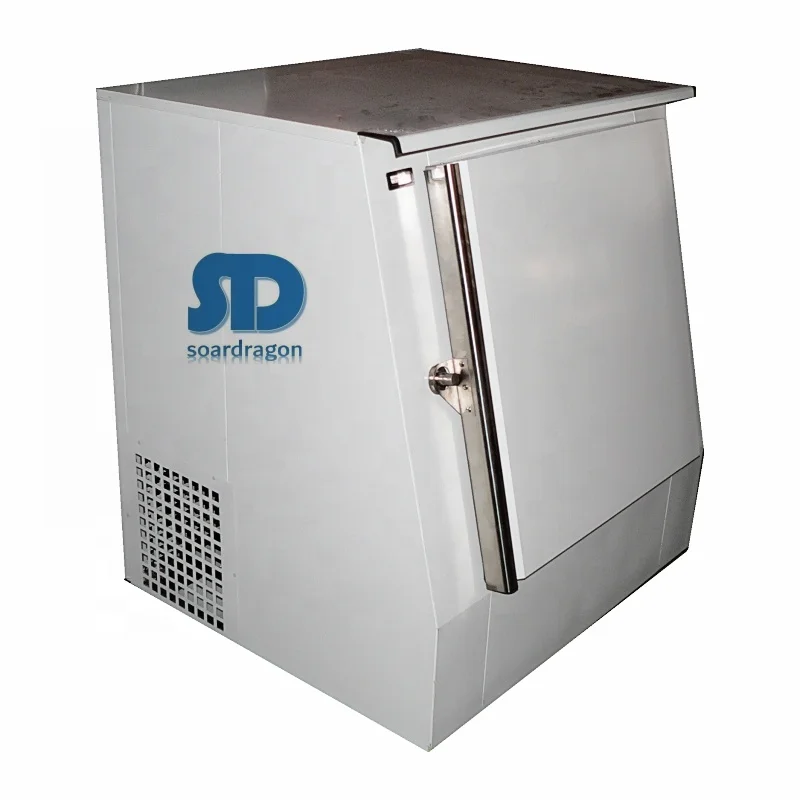 Soardragon Ice merchandiser Foaming Door bagged Ice Storage bin freezer 110v 220v