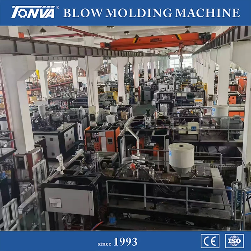 Manufacturing Blister Packaging Plastic Blister Packaging Tray Blow Molding Machine