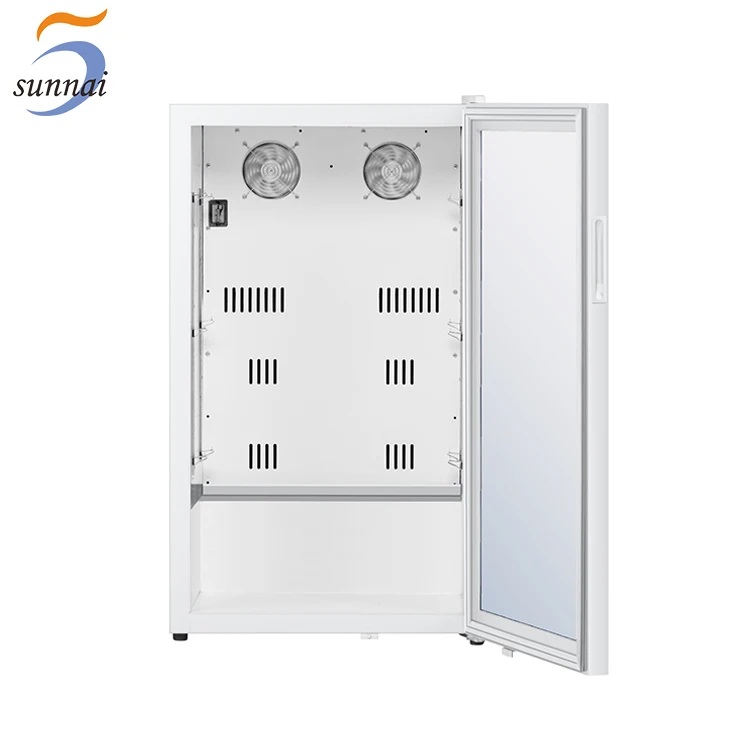 Custom OEM 177l Compressor Mini Refrigerator For Medicine Storage