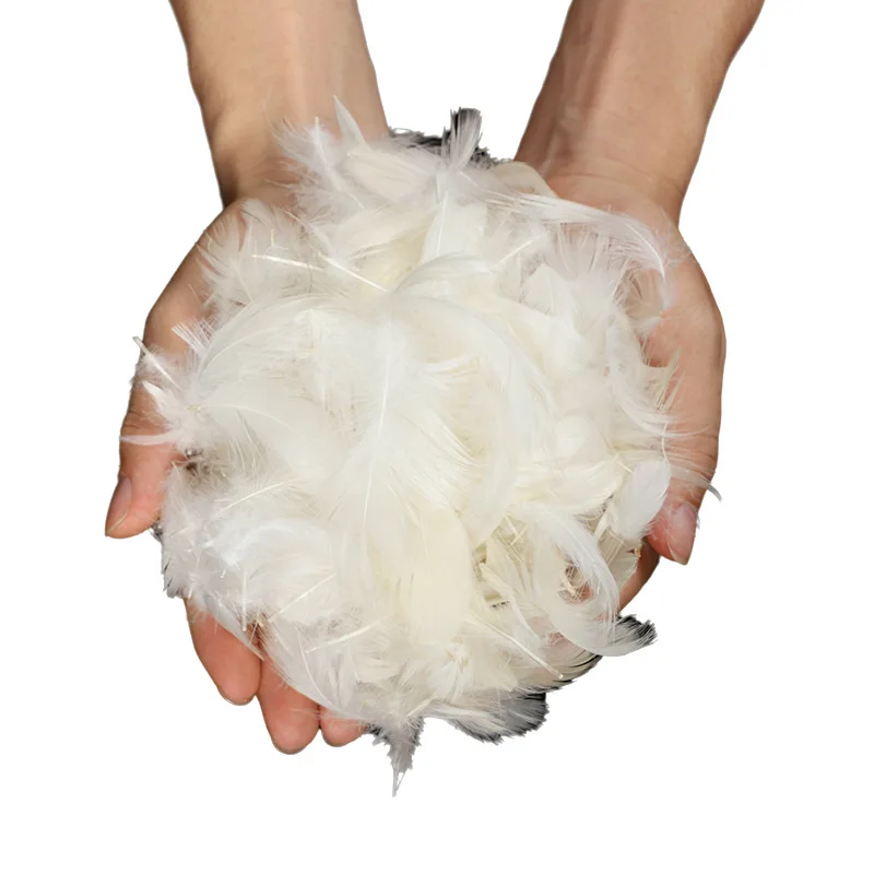 OEKO White 100% Duck Feather Filling Natural Filling for Comforters Pillows Jackets Couch Cushions