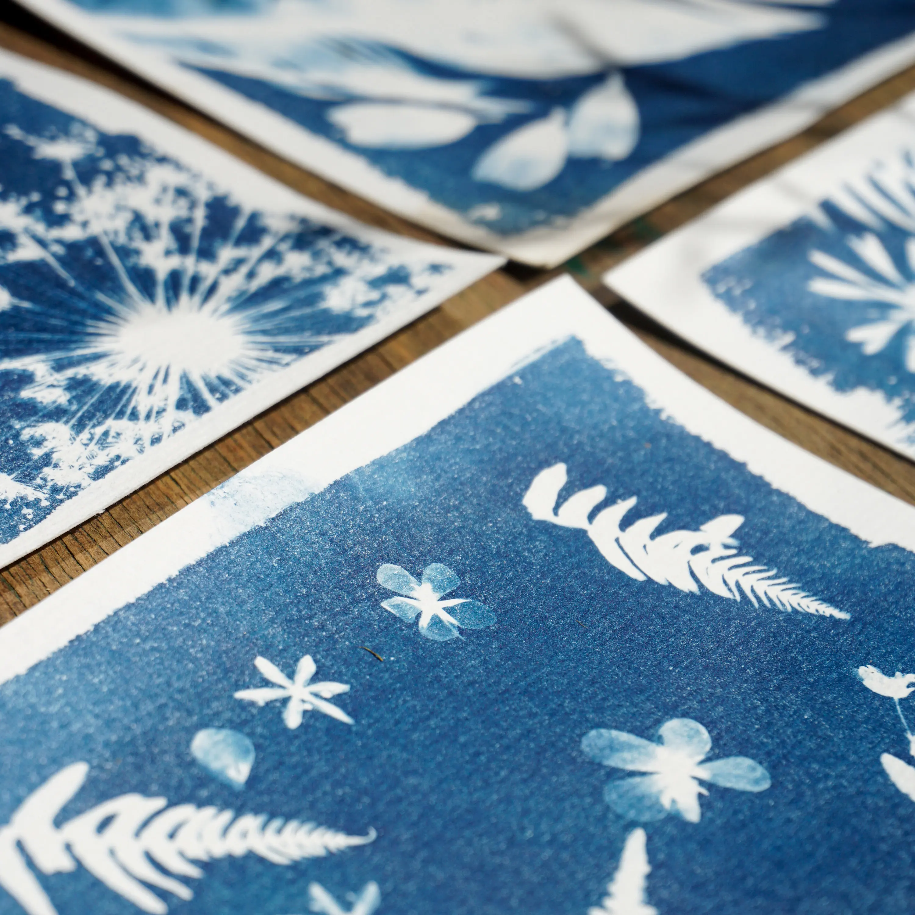 Sun Print Paper Cyanotype Paper Kit Solar Drawing Sensitivity Sun Print A5 Nature Printing Paper for Kids DIY Arts Crafts