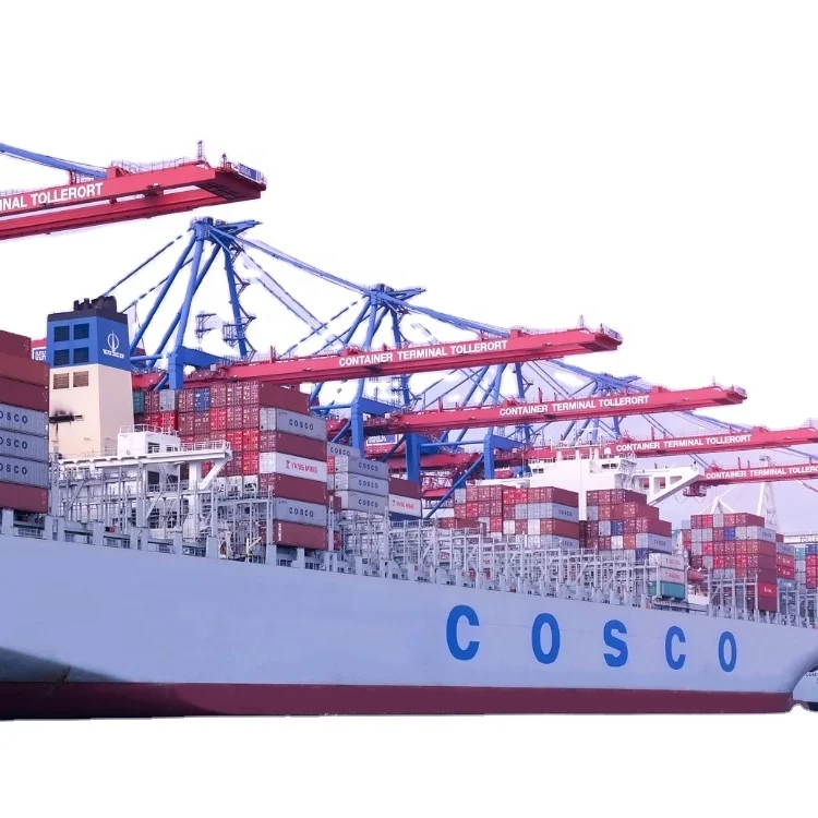 Cheapest Logistics Shipping Rates Amazon Courier Service To Door Philippines/Sri Lanka Sea Cargo Agent China Freight Forwarder