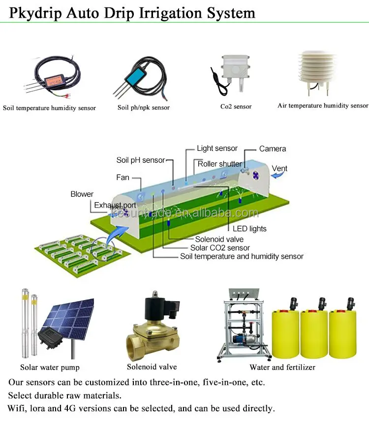 Large Intelligent Hydroponic Greenhouse for Agriculture Single Layer Film Greenhouse with Galvanized Steel Frame