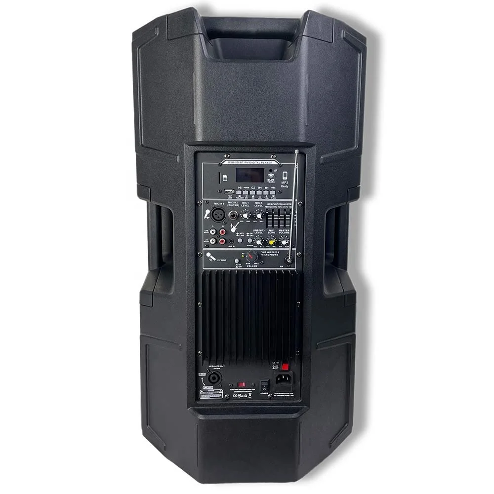 Portable Btooth PA Speaker System Big Power 200W BT Outdoor Speaker