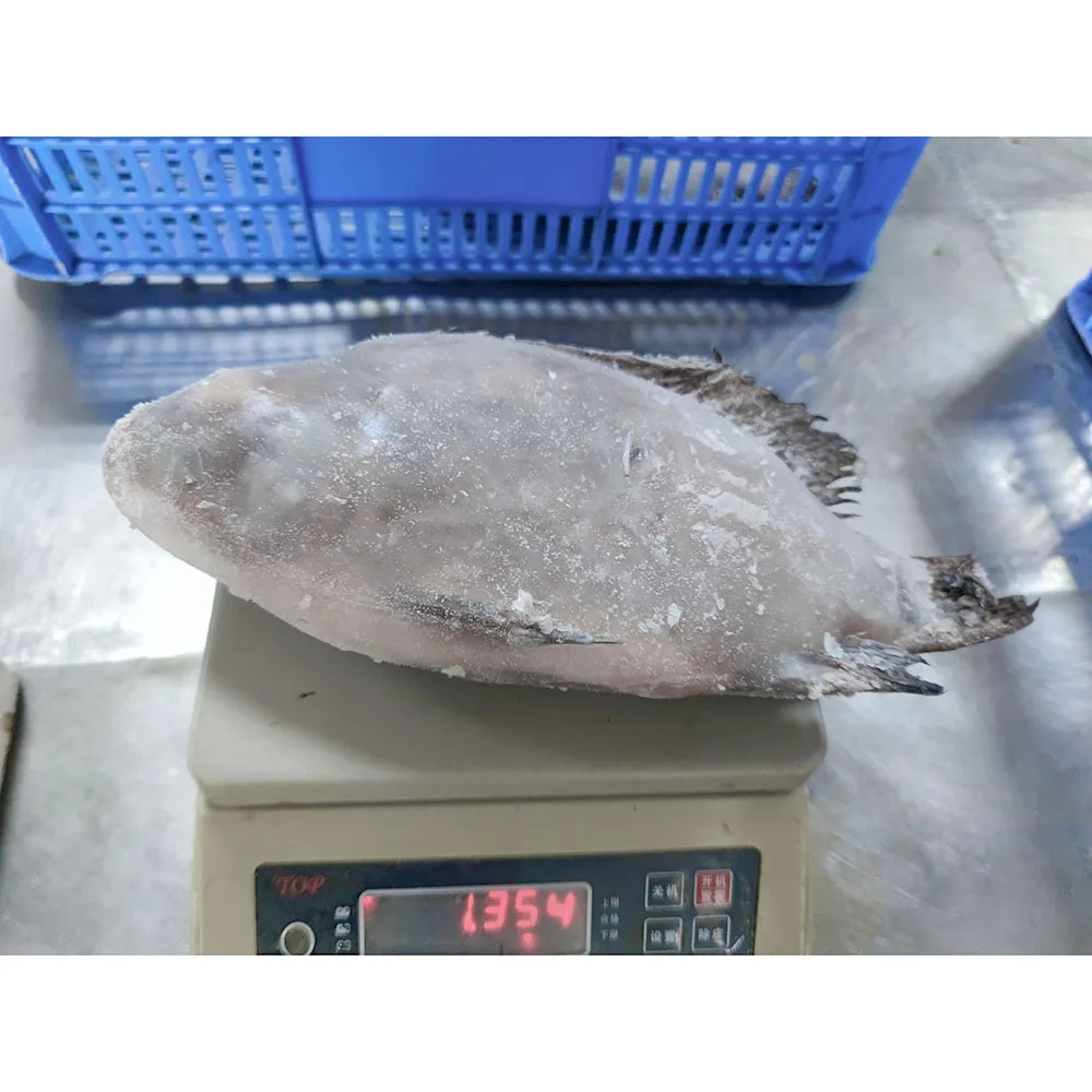 China frozen fish tilapia kosher fish frozen tilapia frozen tilapia fish specification