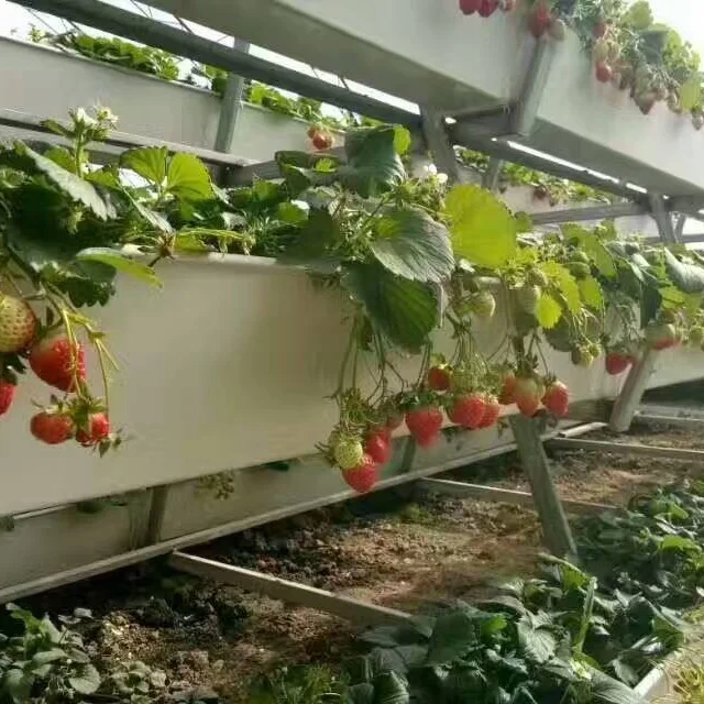 High Quality Hydroponics Growing System Vegetable Yield Lower Energy Greenhouse