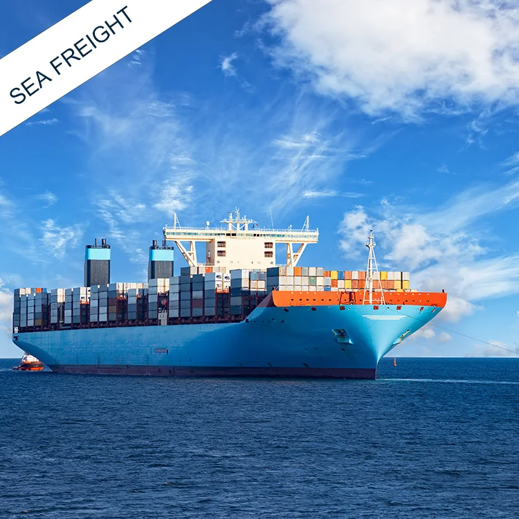 International Shenzhen Freight Forwarder Door To Door Air Cargo Shipping Courier China To Australia