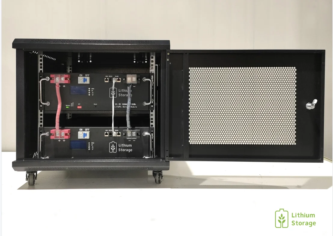 Factory Direct Power 48V 200Ah Wall Mounted Lithium Iron Phosphate Battery 100Ah 200Ah  8s1p 24V Lithium Battery Module