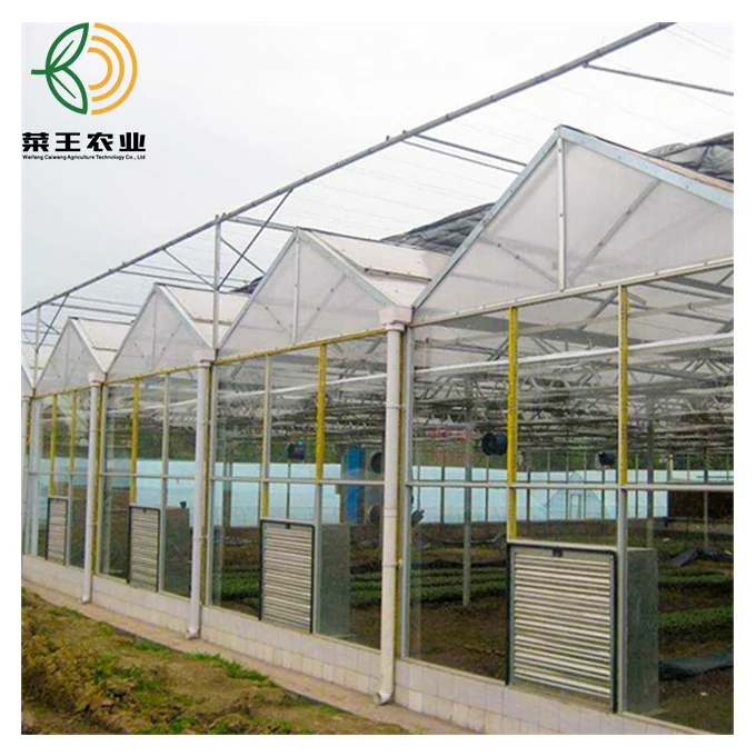  China Factory Price Plastic Sheet Green House for Vegetables Fruits