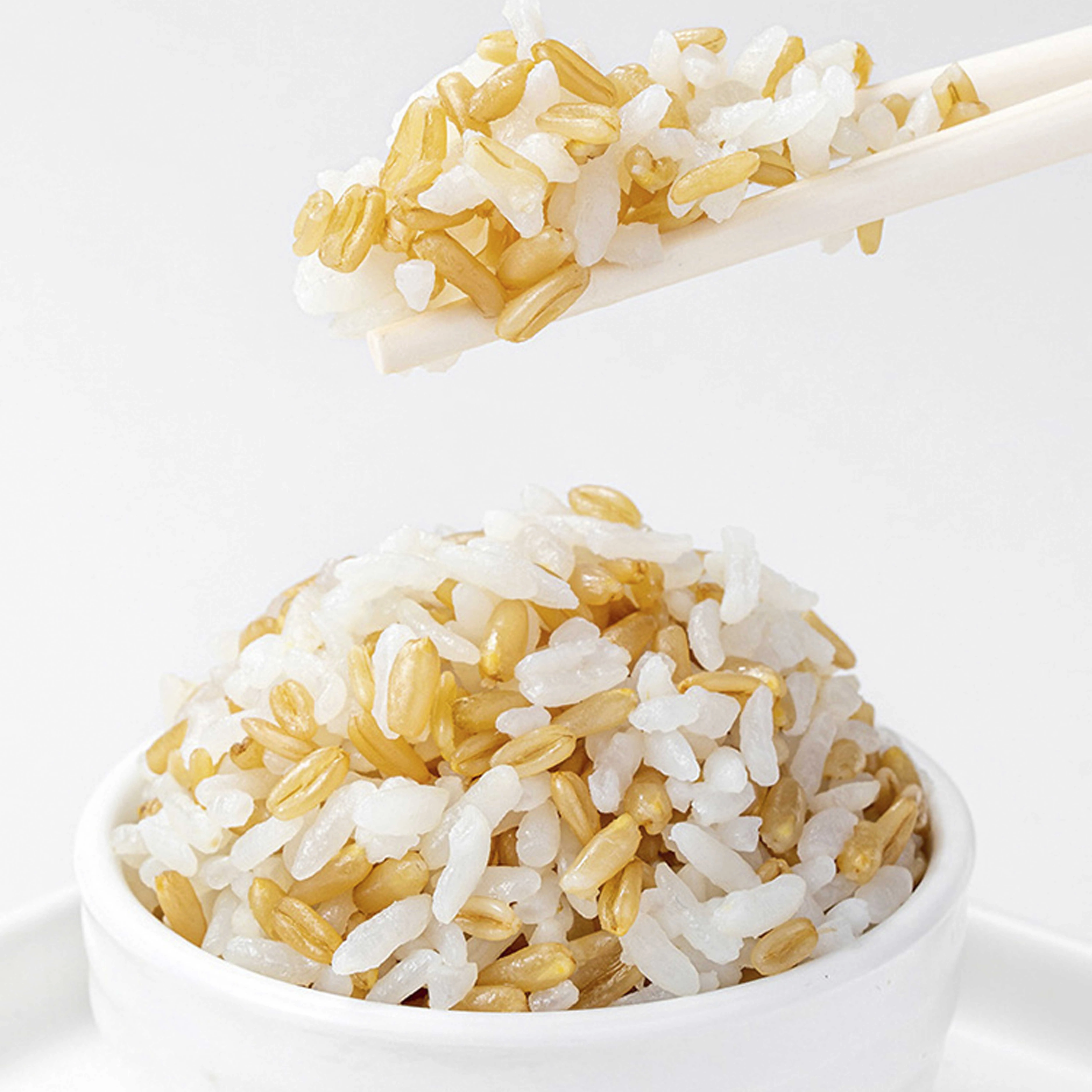 Organic Oat, Barley, Barley, Sorghum Suppliers,Grass grain Seeds, Juicing Sprouting cat grass