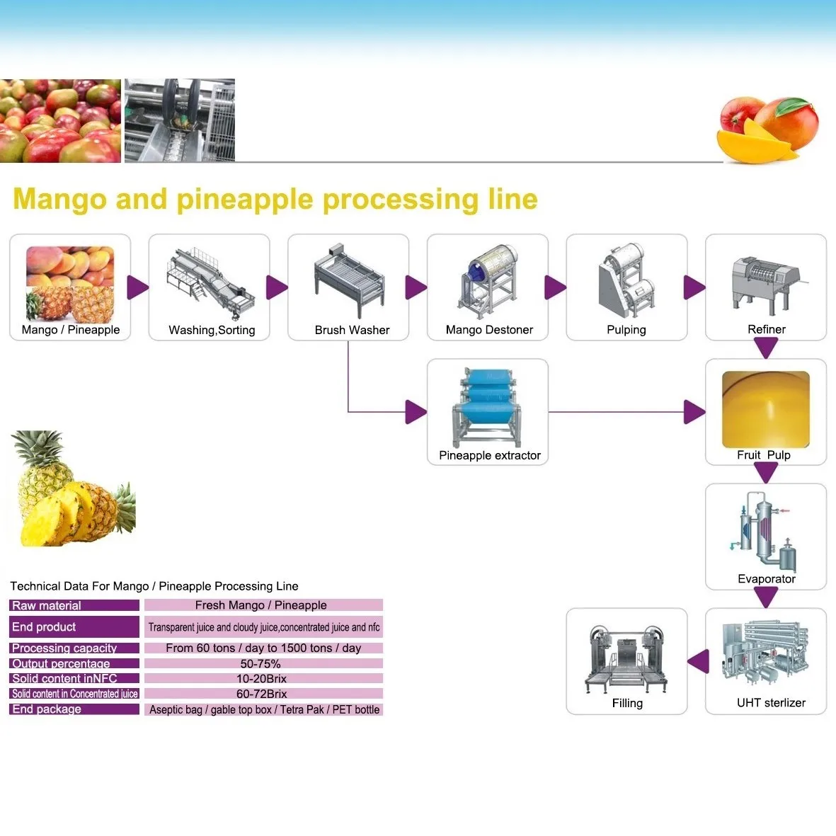 Mango processing line