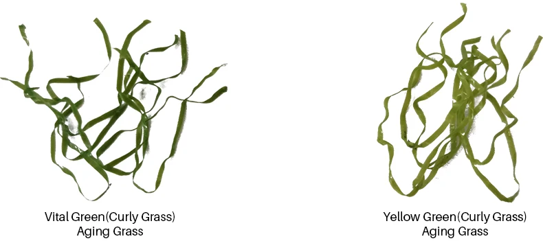 QINGZHOU S003 уличный коврик для гольфа с зеленой травой