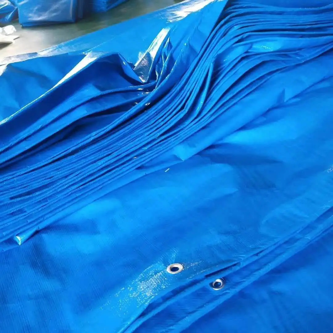 Custom 20 x 30 30x50 40 x 60 20x20 15 x 15 10x10 Heavy Duty Waterproof pe Tarpaulin Tarp