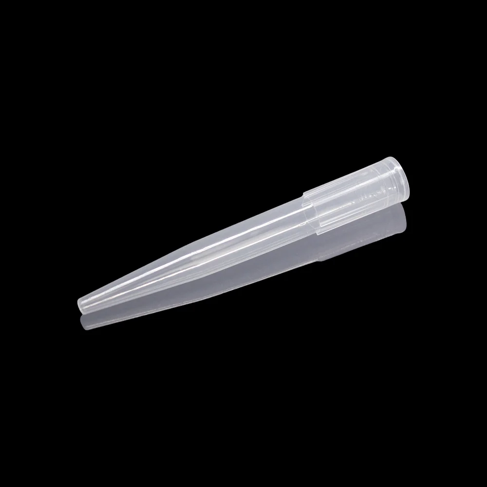 1000Ul Filter Tips Bagged Boxed Sterile Pipette Tips