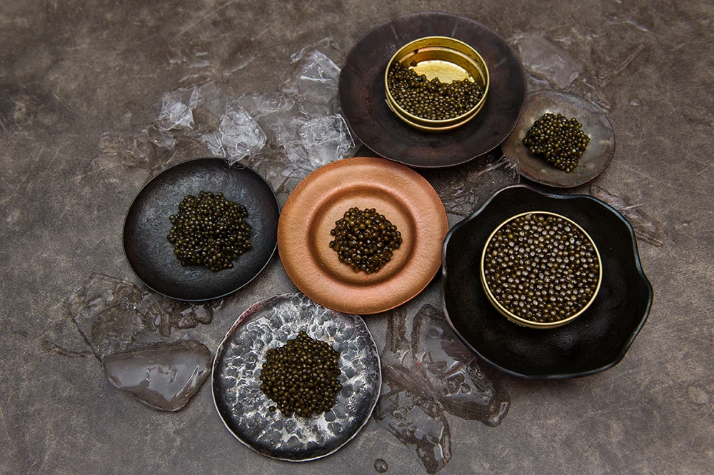 Factory direct sale high quality 100g KalugaQueen High Grade Hybrid Sturgeon Caviar