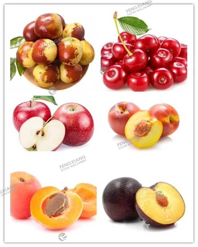 CL-I Apricot Coring Machine Stoner Litchi Prune Plum