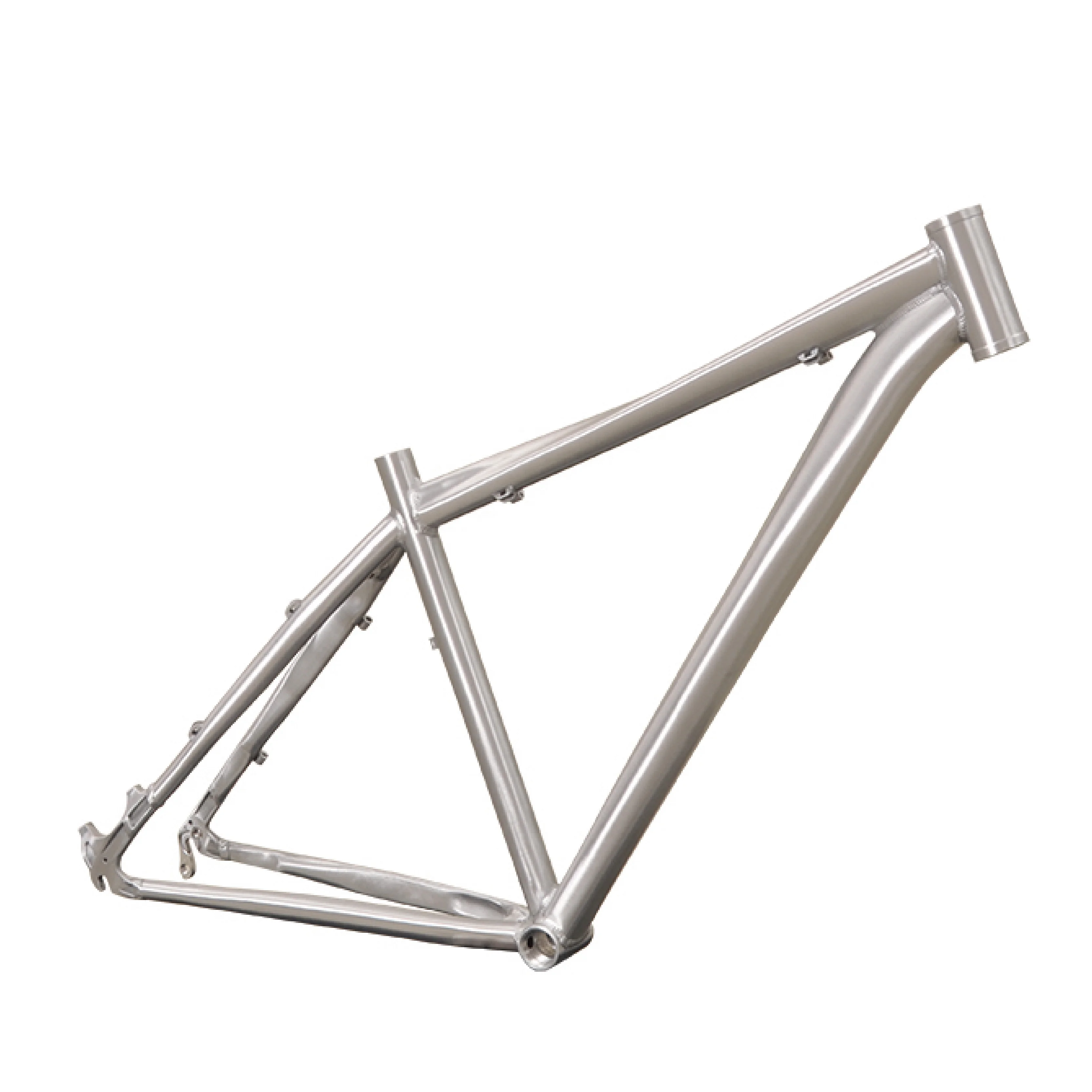 Hot sale motorized bicycle frame
