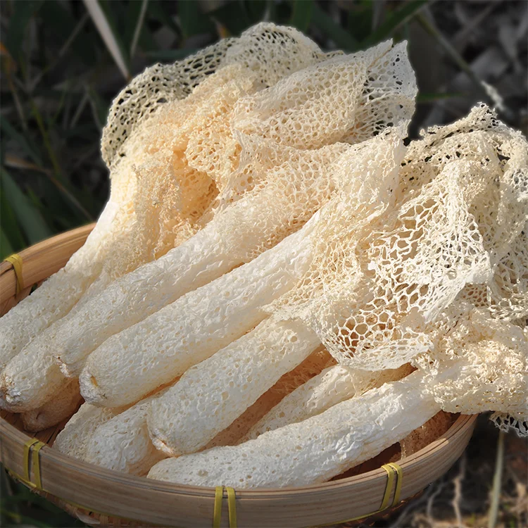 Сушеные грибы Dictyophora Indusiata дикий бамбуковый гриб для кухонных