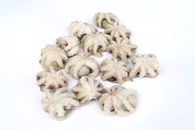 Factory wholesale little octopus nutritious vitamins frozen octopus