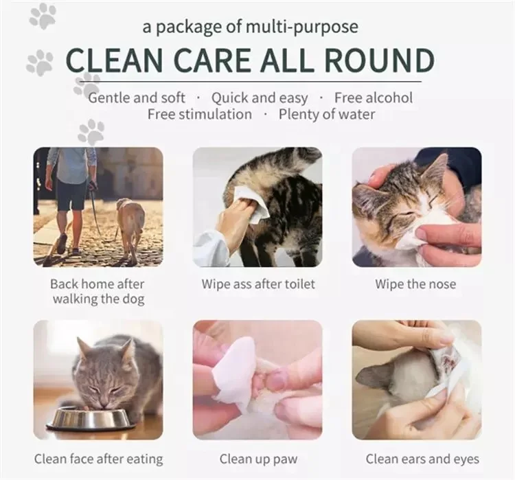 Custom Pet Eye Wipes Organic Pet Grooming Sets Ear Wipe Biodegrade Pet Cleaning Wet Wipes