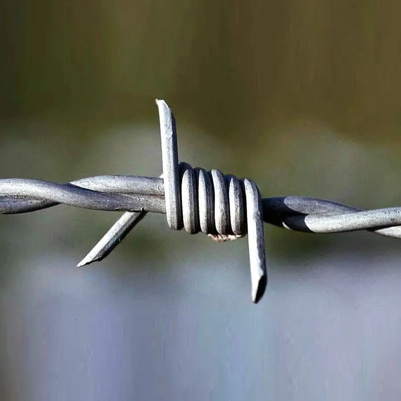 High Quality 50kg Barbed Wire Price Per Roll / Galvanized Barbed Wire Mesh Stainless Steel Barb Wire Fence Roll