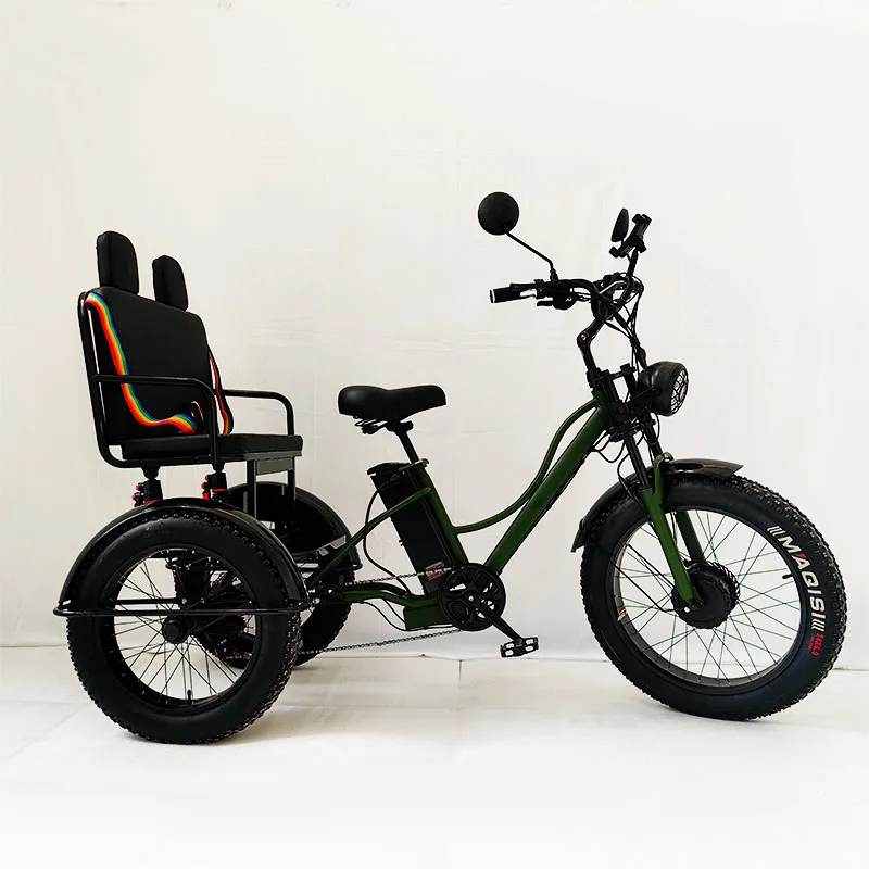 Fashion double three-wheel fat tire electric car manned electric tricycle two-seater tricycle
